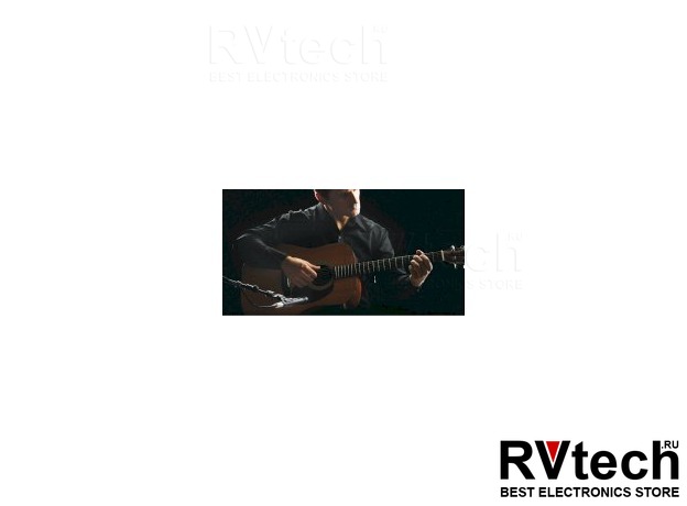 JTS JS-22 Микрофон студийный, Купить JTS JS-22 Микрофон студийный в магазине РадиоВидео.рф, Студийные микрофоны